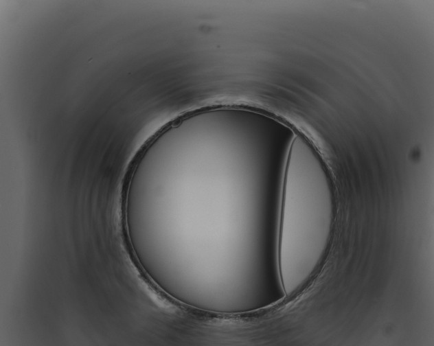 X0000090440894200707131028