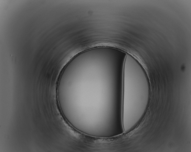 X0000090440898200707131028