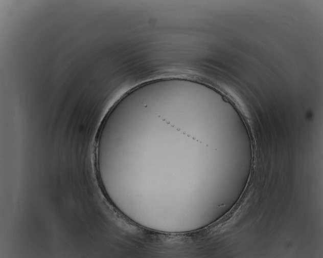 X0000090440899200707131028