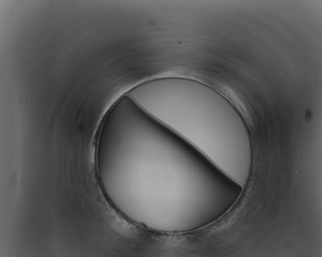 X0000090440900200707131028