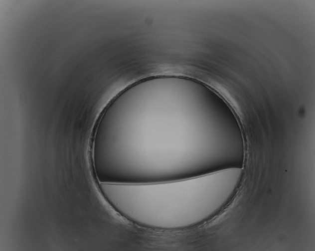 X0000090440901200707131028