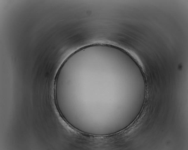X0000090440903200707131028