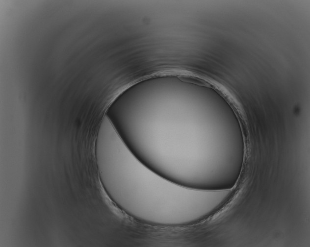 X0000090440905200707131028