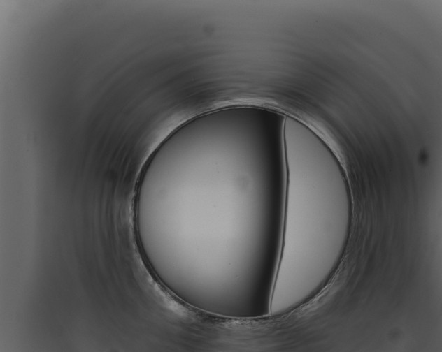 X0000090440906200707131028