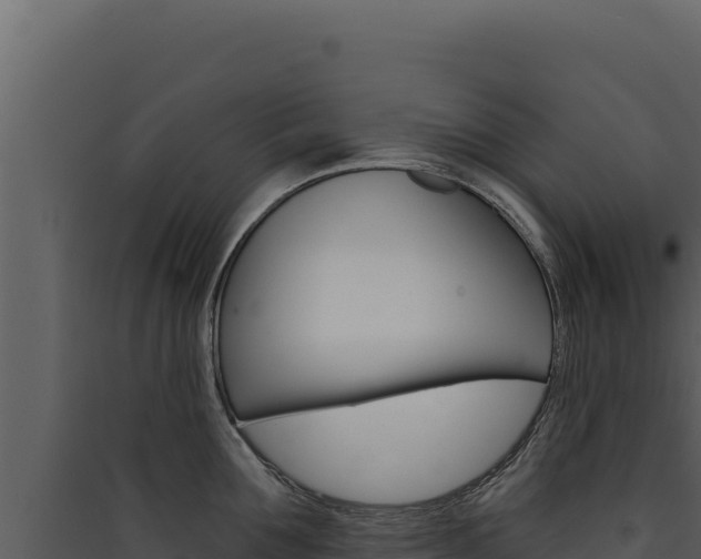 X0000090440907200707131028
