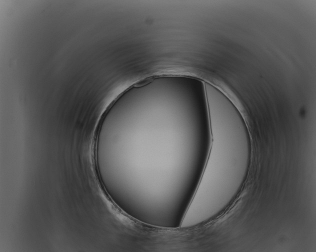 X0000090440909200707131027
