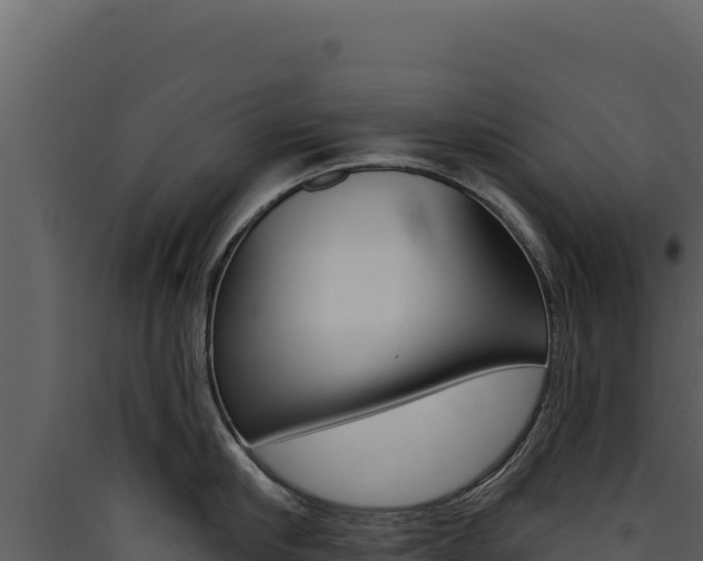 X0000090440910200707131027