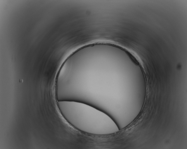 X0000090440911200707131027