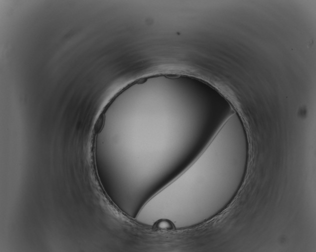 X0000090440912200707131027