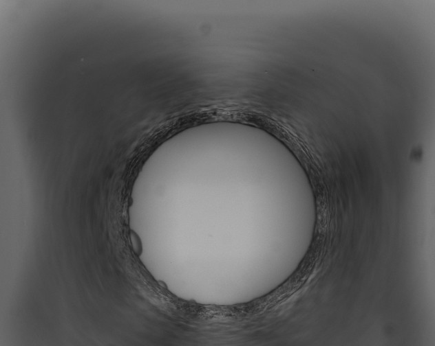 X0000090440913200707131027