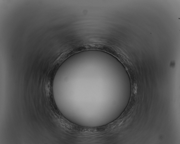 X0000090440915200707131027