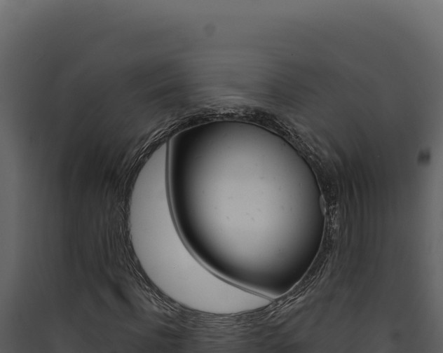 X0000090440916200707131027