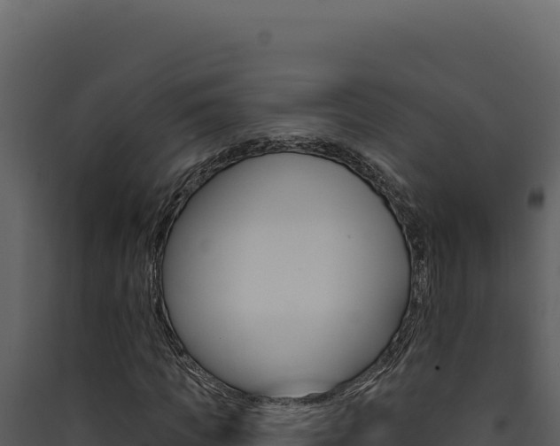 X0000090440917200707131027