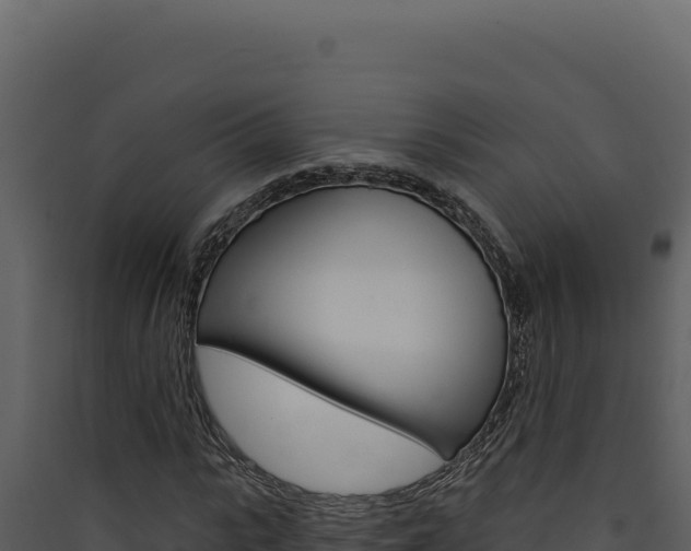 X0000090440919200707131027