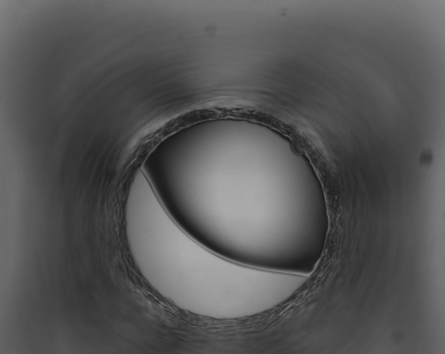 X0000090440920200707131027