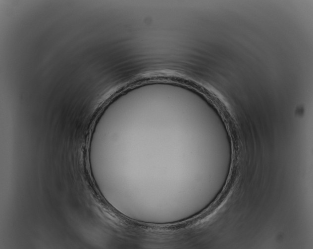 X0000090440921200707131027