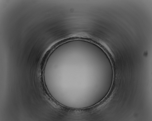 X0000090440923200707131027
