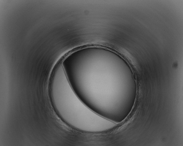 X0000090440924200707131027