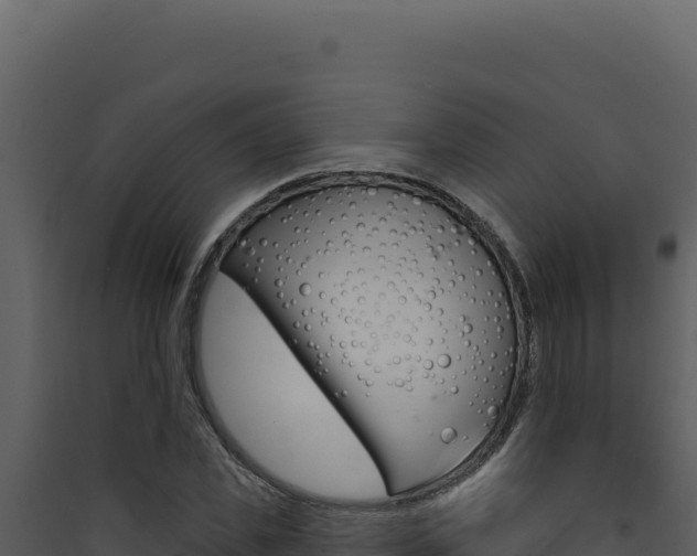 X0000090440925200707131027