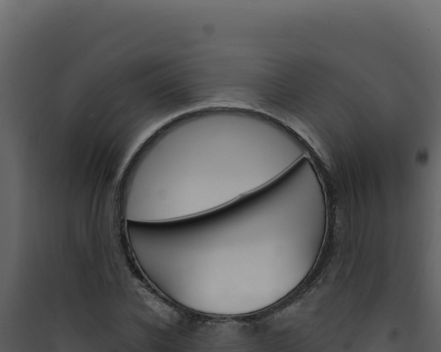 X0000090440926200707131027