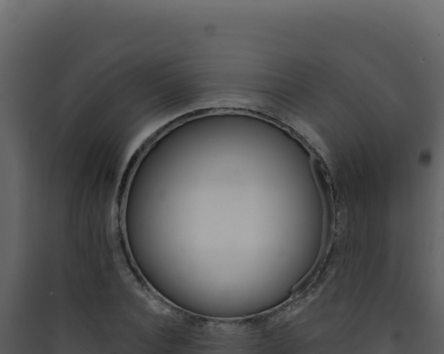 X0000090440928200707131027