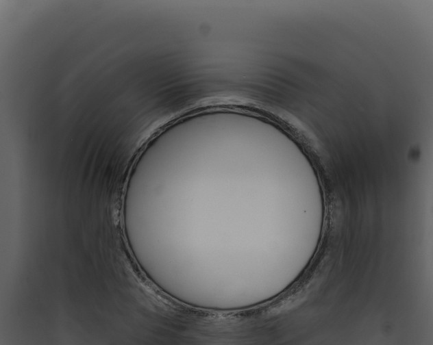 X0000090440929200707131027