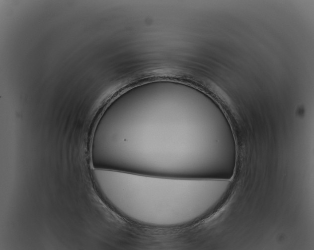 X0000090440930200707131027
