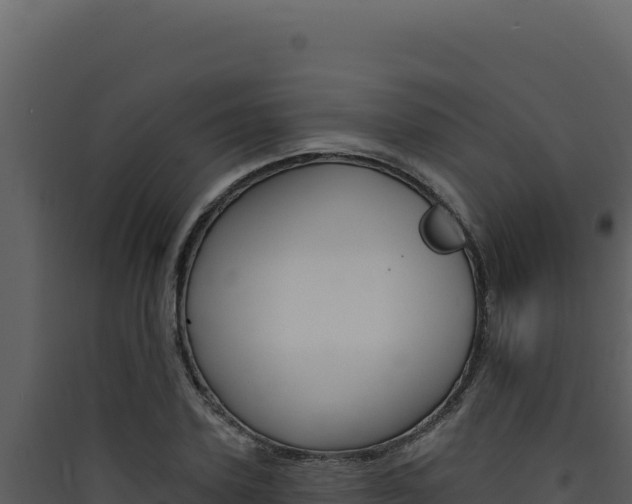 X0000090440931200707131027