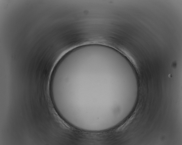 X0000090440932200707131027
