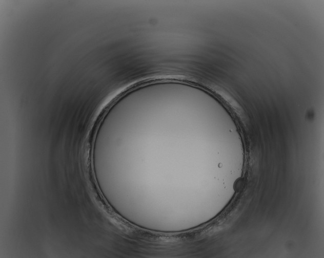 X0000090440933200707131027