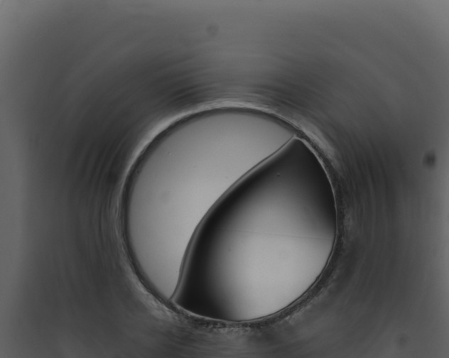 X0000090440934200707131027