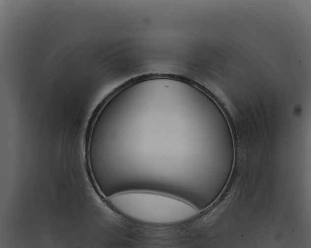 X0000090440935200707131027