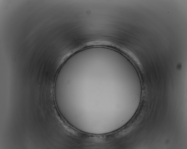 X0000090440937200707131027