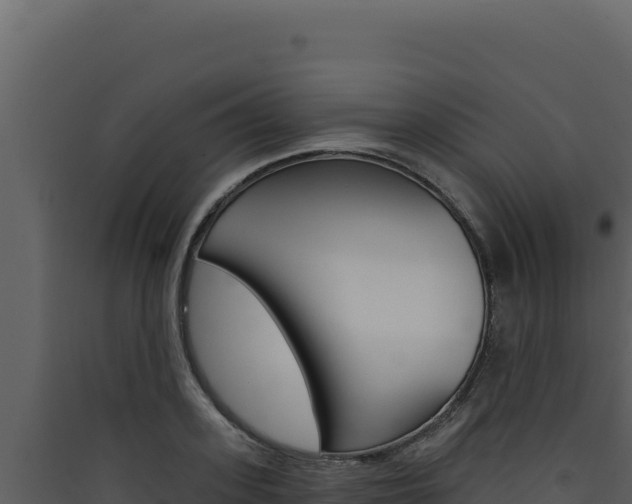X0000090440939200707131027