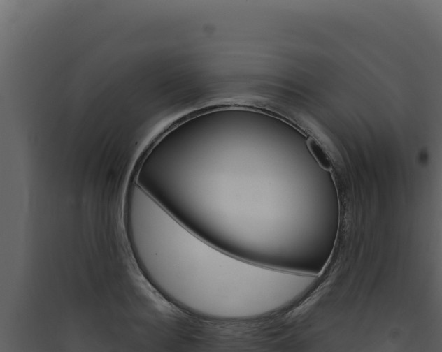 X0000090440940200707131027