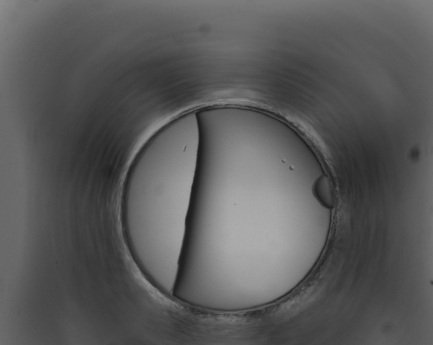X0000090440941200707131027