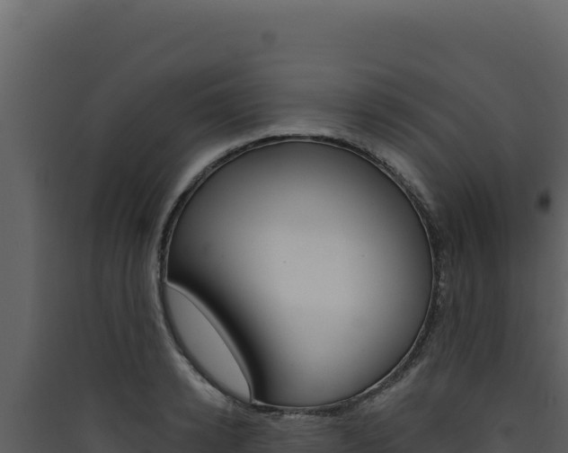 X0000090440942200707131027