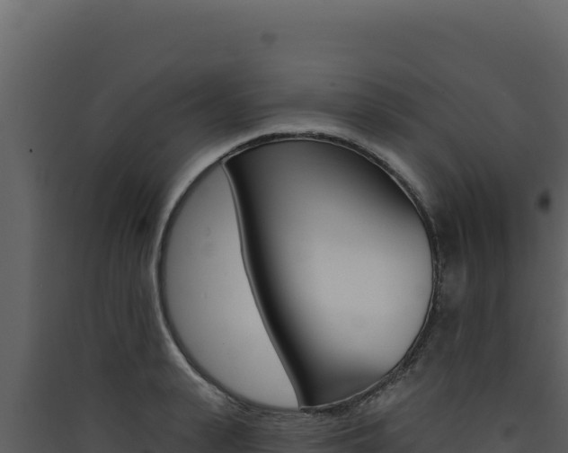X0000090440943200707131027
