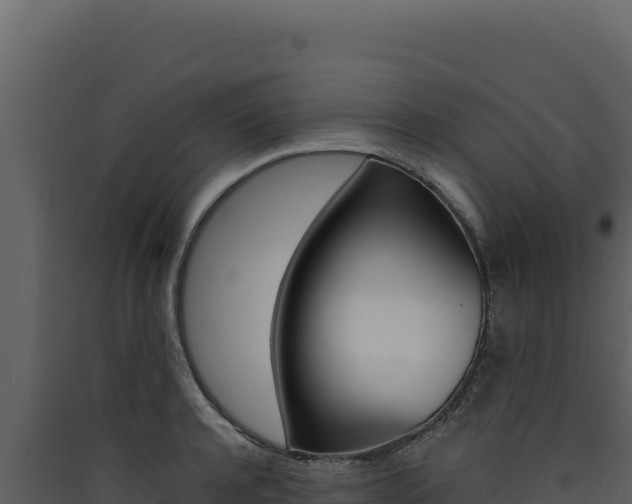 X0000090440944200707131027