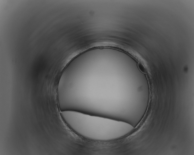 X0000090440945200707131027