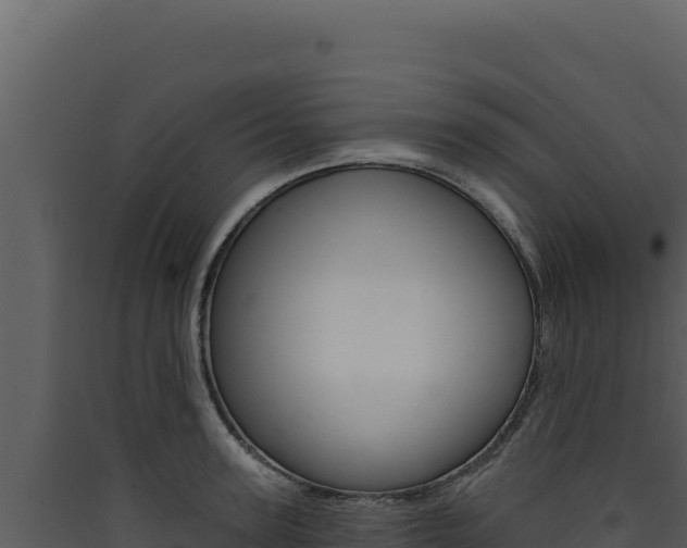 X0000090440947200707131027