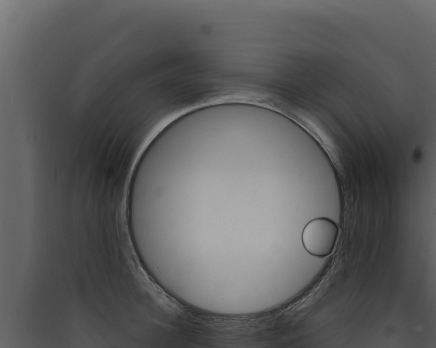 X0000090440948200707131027
