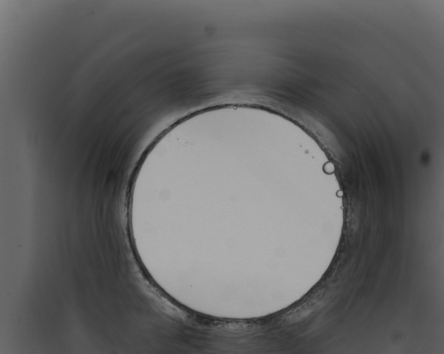X0000090440950200707131027