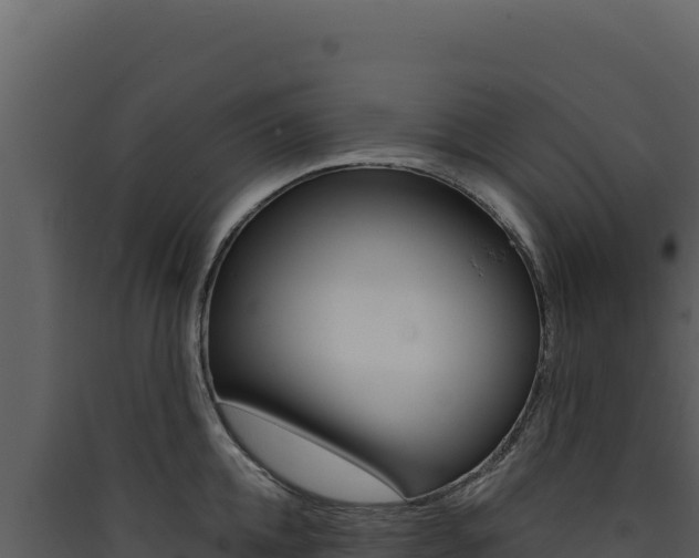 X0000090440952200707131027