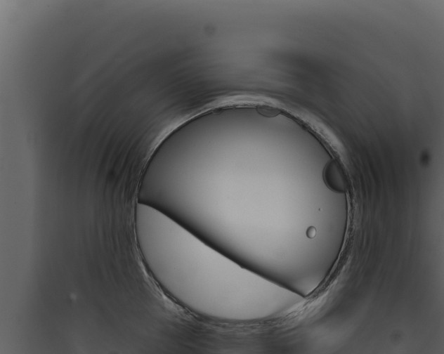 X0000090440953200707131027