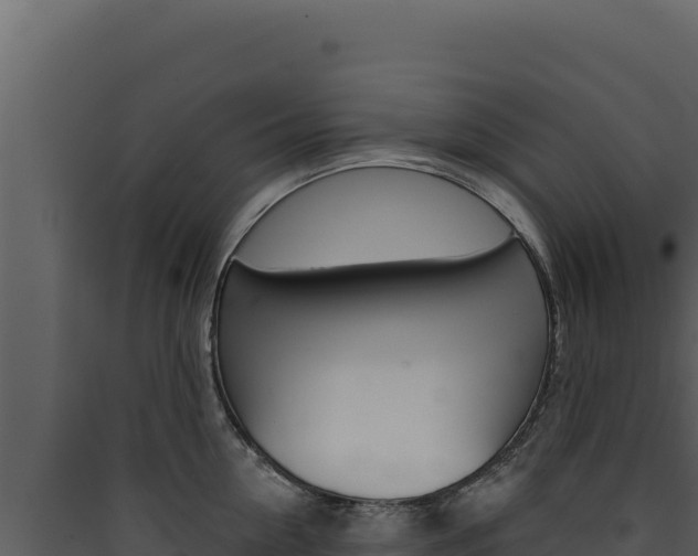 X0000090440954200707131027