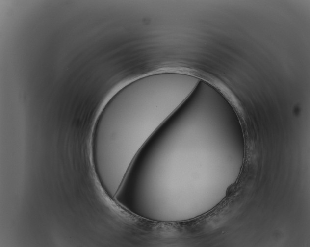 X0000090440955200707131027