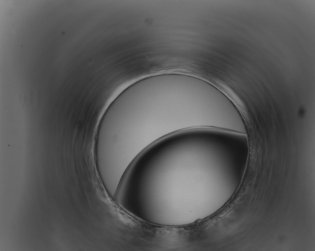 X0000090440956200707131027