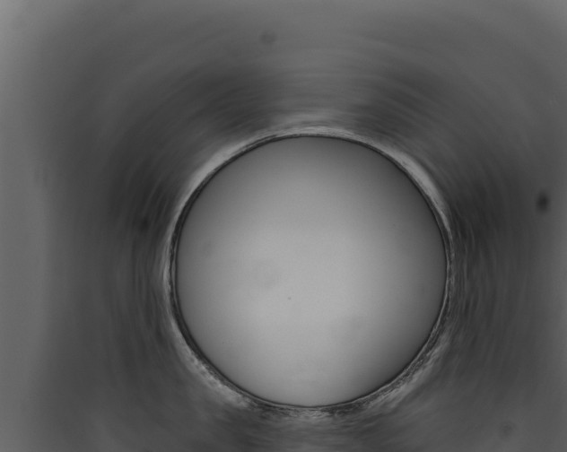 X0000090440957200707131027