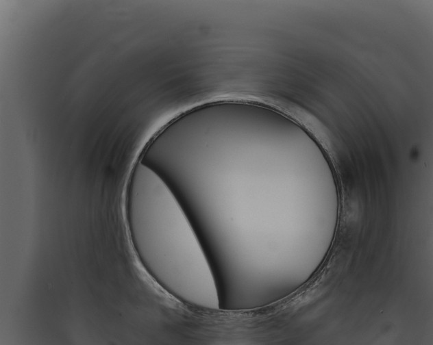 X0000090440958200707131027